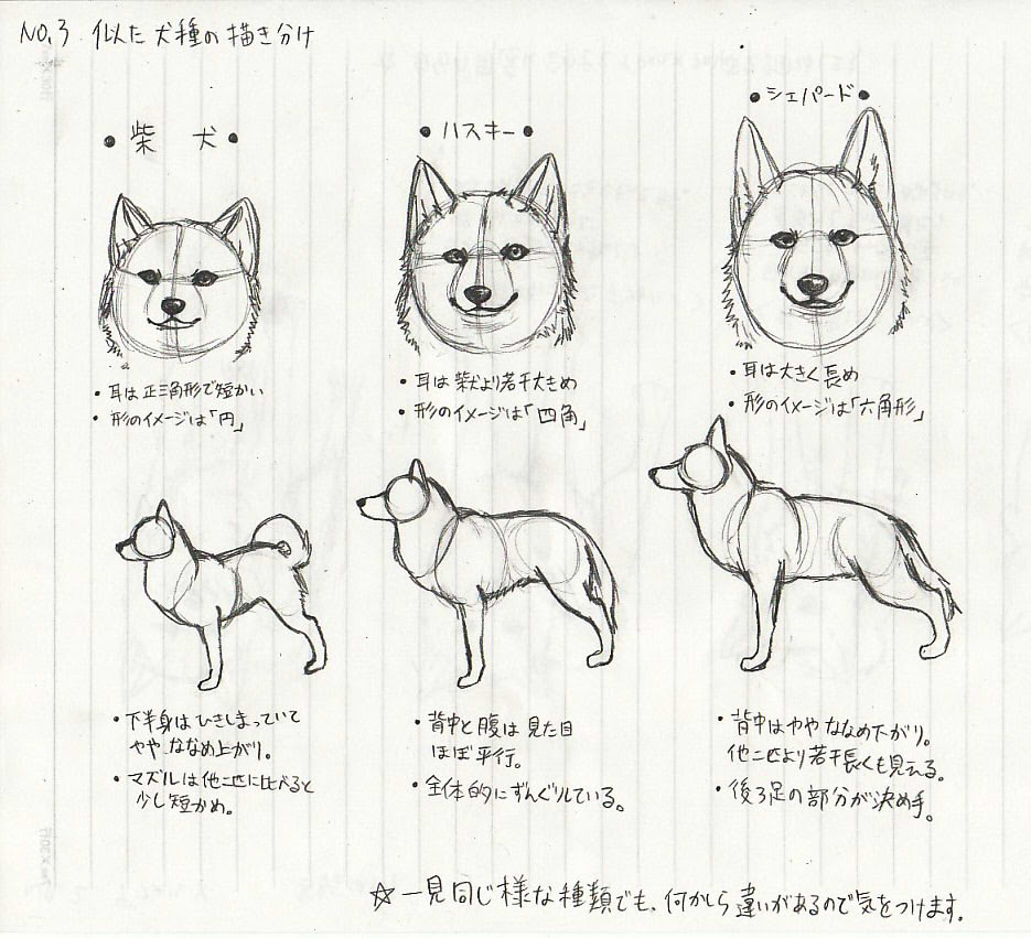 ベスト可愛い 狼 イラスト 簡単 動物ゾーン