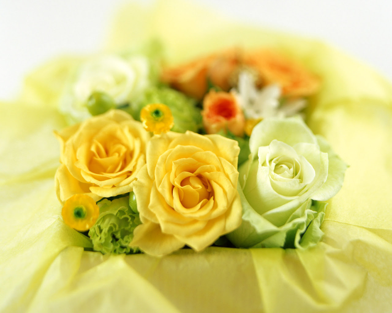 すべての美しい花の画像 綺麗な待ち受け 綺麗 な 花 画像 無料