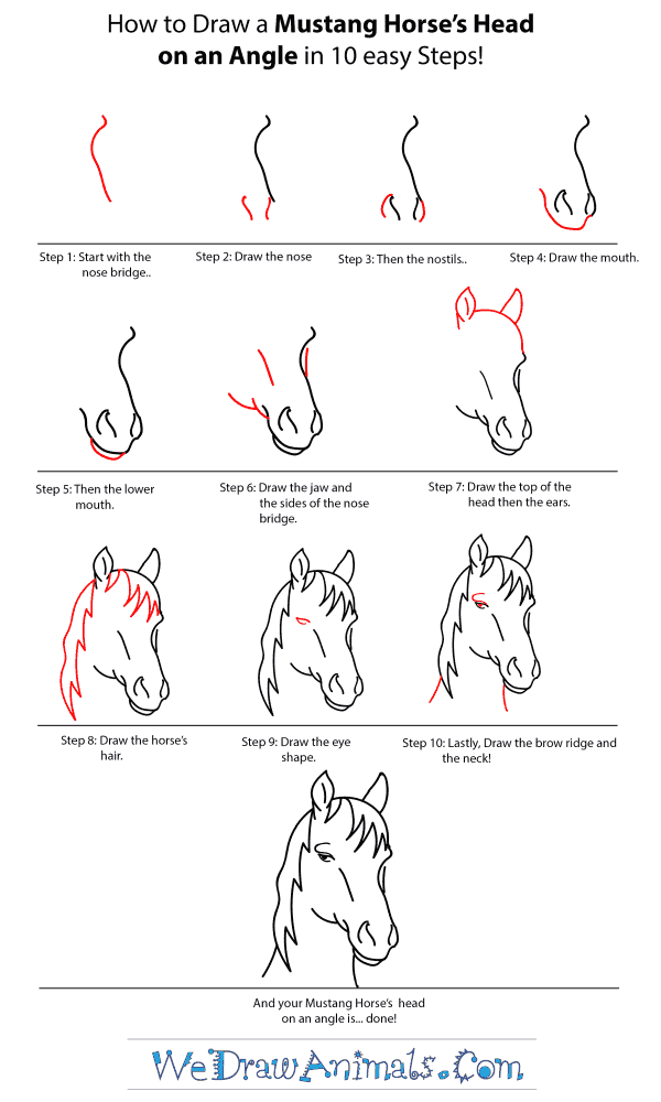 Horse head mustang head beautiful horse royalty free cliparts vectors and stock illustration image 1. How To Draw A Mustang Horse Head