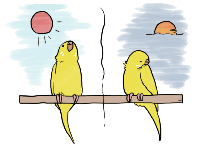 セキセイインコ 青 セキセイインコ 青 Michaelbelljp