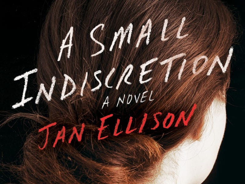 'A Small Indiscretion' by Jan Ellison