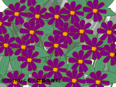 最高のコレクション 花言葉 紫 の 薔薇 240037
