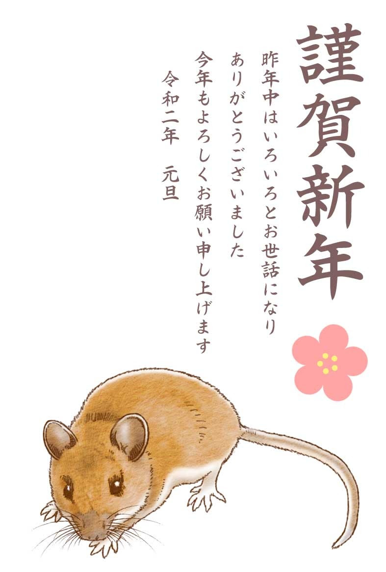 70以上 リアル ネズミ ねずみ イラスト Combrojoswsbq