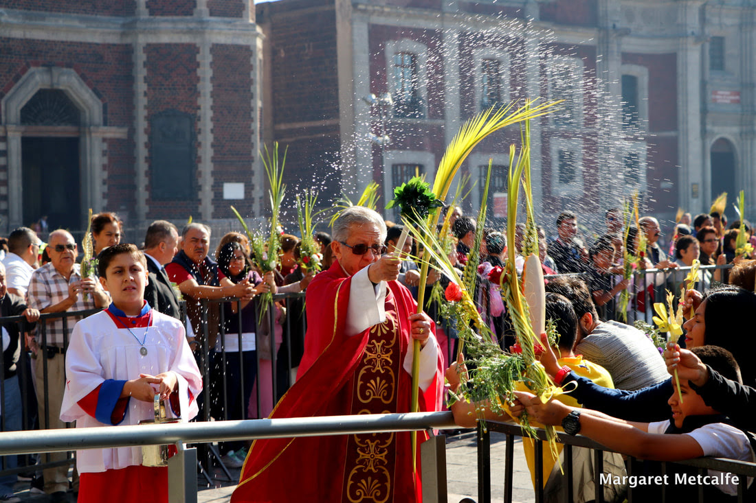 Este año 2020, domingo de ramos domingo de ramos en españa. Domingo De Ramos Palm Sunday Mexico City Photo Walks