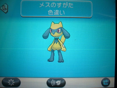 35 ポケモン Xy リオル 100 で最高の画像