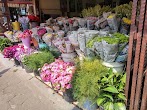 Bunga Matahari Jogja / Tempat SELFIE ngeHITS Wisata Yogyakarta Taman Bunga ... - Keindahan taman bunga matahari samas.