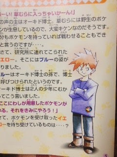 優れた ポケモン ピカチュウ 版 ゼニガメ 100 イラスト