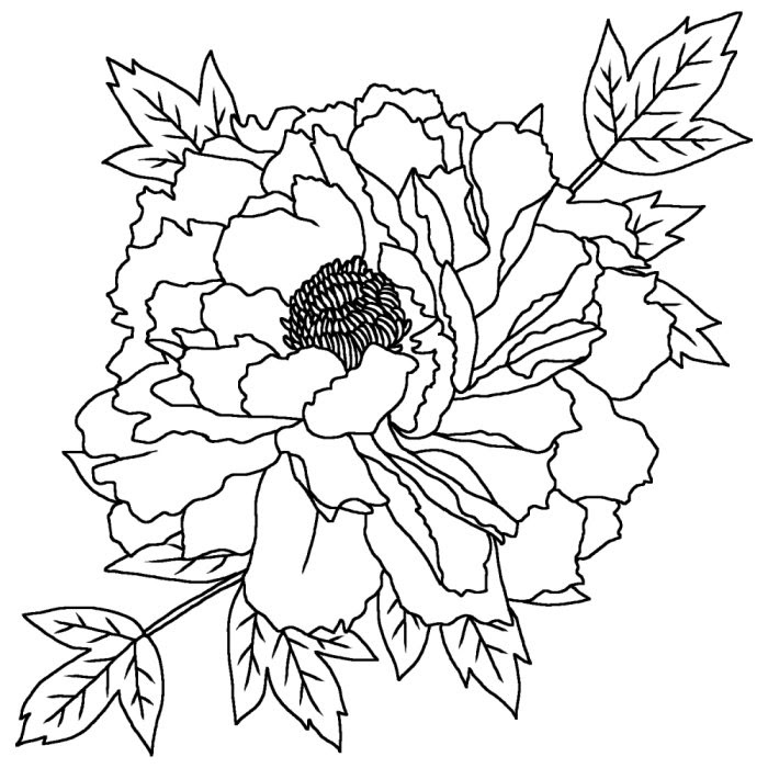 春 花 イラスト 無料 白黒 Allis