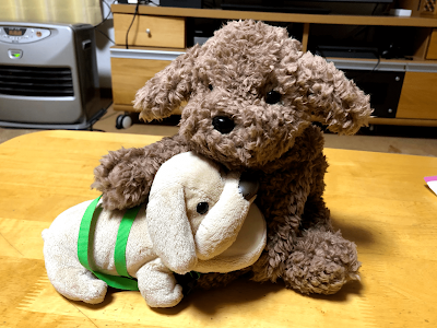 【人気ダウンロード！】 ニトリ 犬 抱き 枕 838050-ニトリ 犬 抱き枕