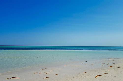 Bahia honda state park is located at united states of america, state of florida, monroe county, bahia honda key. Bahia Honda State Park Bahia Honda Key Fl Aaa Com