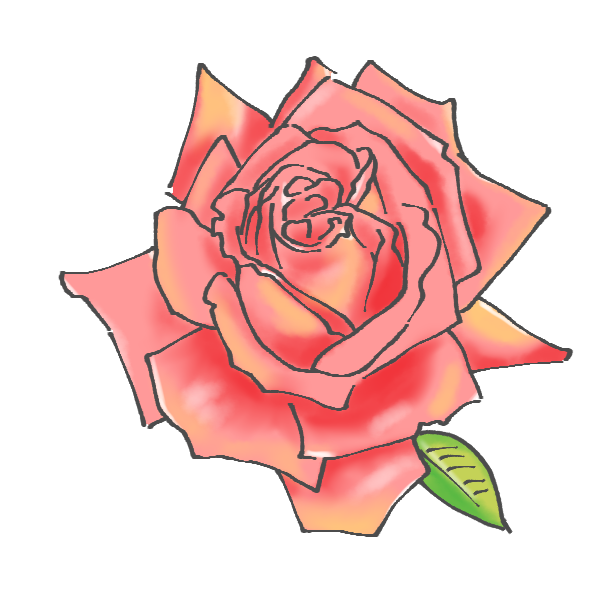 美しい花の画像 これまでで最高の薔薇 イラスト 可愛い