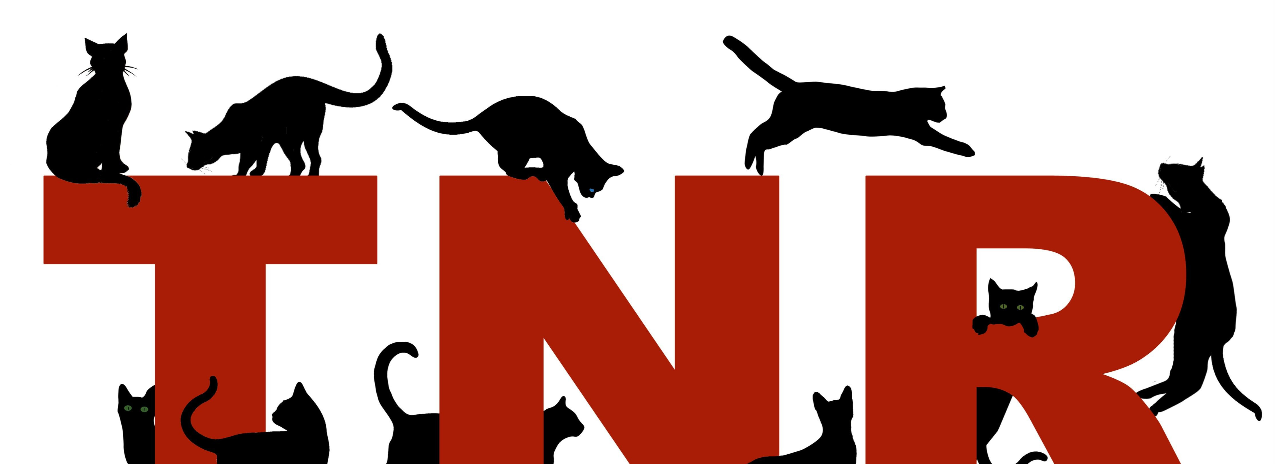 Tnr group is moving fast forward in to the future. Tnr Feral Info