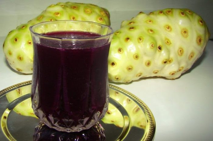 Beneficios-do-suco-de-noni-768x511