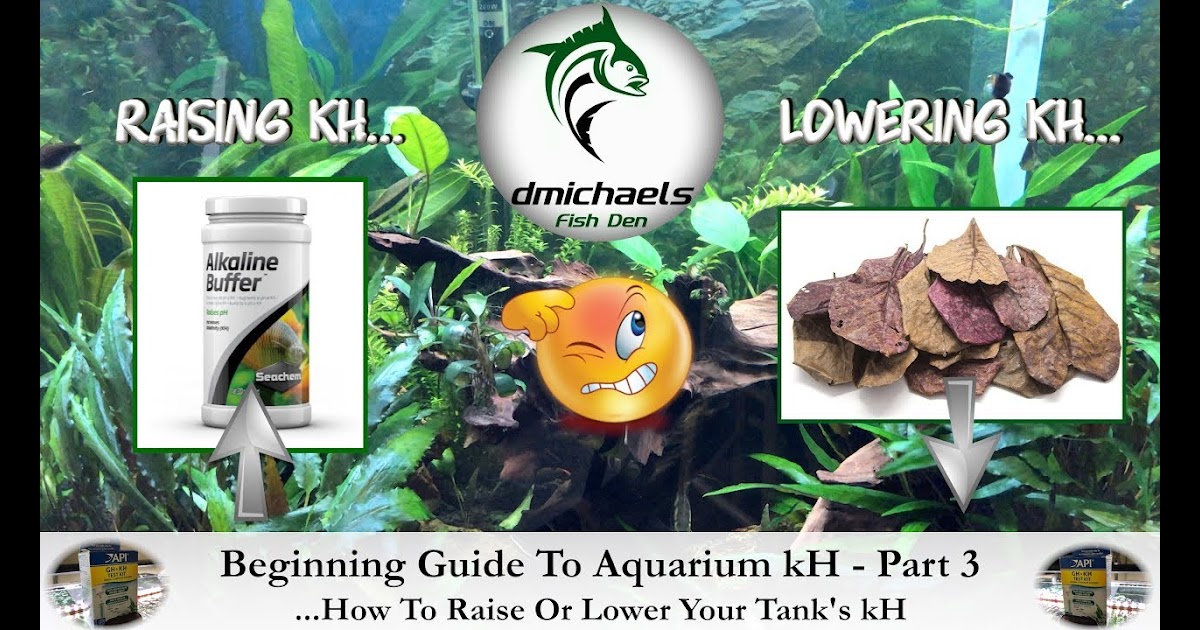 How To Lower Kh In Aquarium Aquarium Views