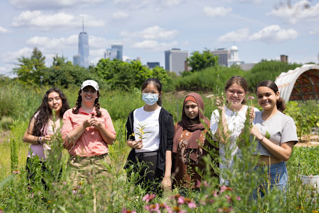 students in the grownyc teaching garden at governors island