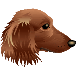 ミニチュア ダックス フンド イラスト 2129 犬 ミニチュア ダックス フンド イラスト
