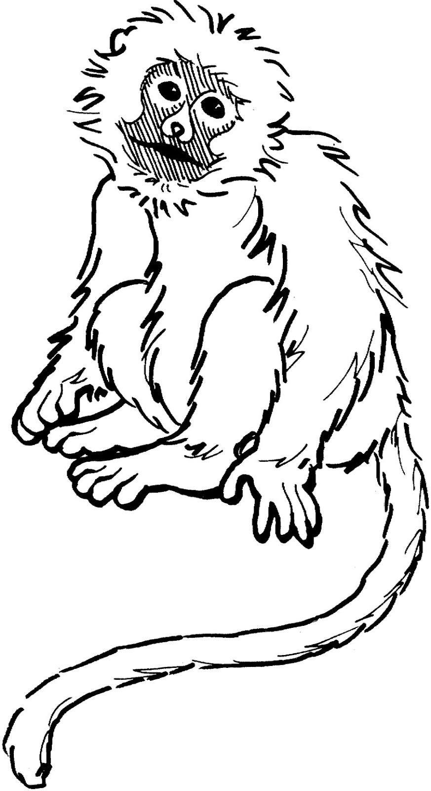  Gambar  Macan Animasi Gratis Download Cikimm com