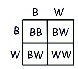Explain the difference between incomplete and codominance. Incomplete Codominance