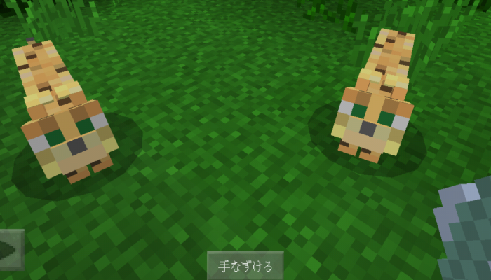 最高 50 ネコ マイクラ 猫 Minecraftの最高のアイデア