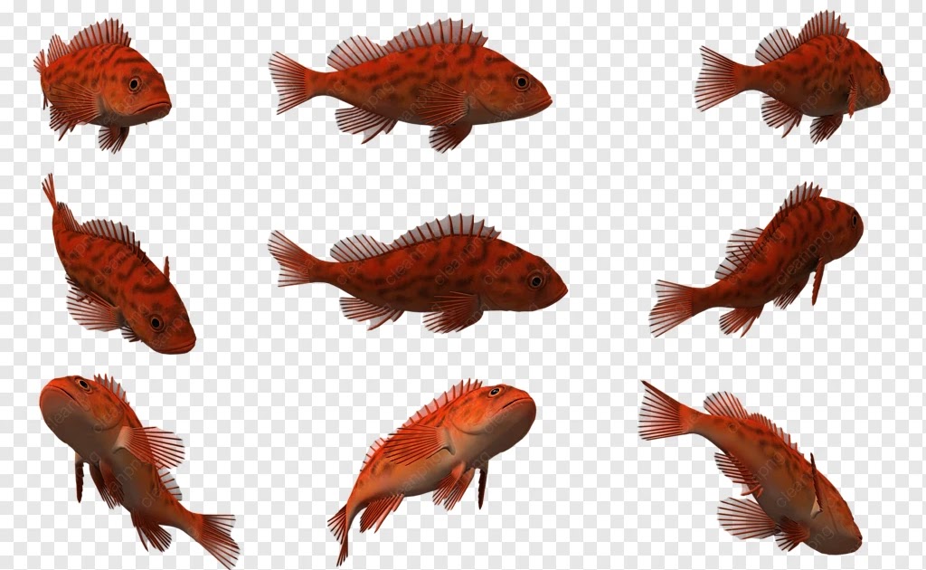 Ikan Tenggiri 3 Dimensi / 60 Koleksi Gambar Ikan Hiu 3 Dimensi HD Terbaru - Gambar Hewan / A ...