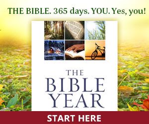 The Bible. 365 days. You. Yes, you!