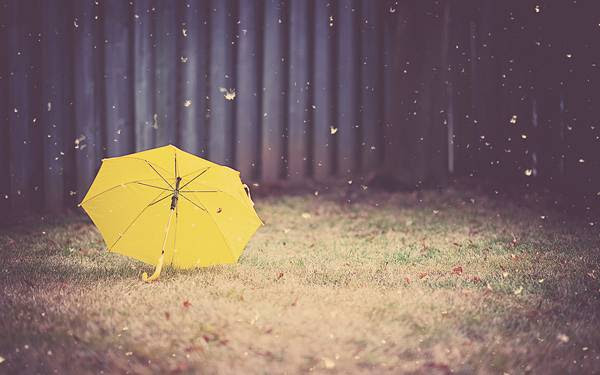 すべての美しい花の画像 トップ100 おしゃれ Iphone 壁紙 雨
