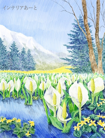 動物画像無料 75 水 芭蕉 イラスト