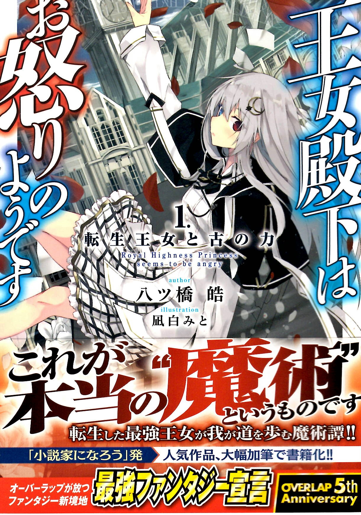 驚くばかり 小説 なろう おすすめ 100 イラスト