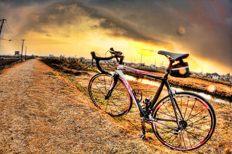 綺麗なロード レース 自転車 壁紙 花の画像