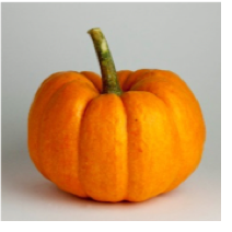 Photo of a pumpkin