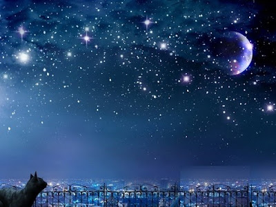 [最も共有された！ √] 星空 夜 イラスト 綺麗 597862