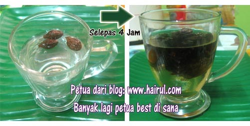 Ubat Demam Cara Tradisional - Contoh Play