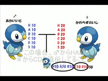 500以上のトップ画像をダウンロード 0以上 ポケモン Xy 厳選
