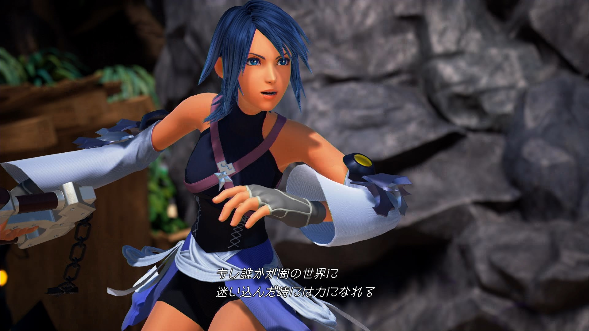 ロイヤリティフリー Kh アクア ざばねがも