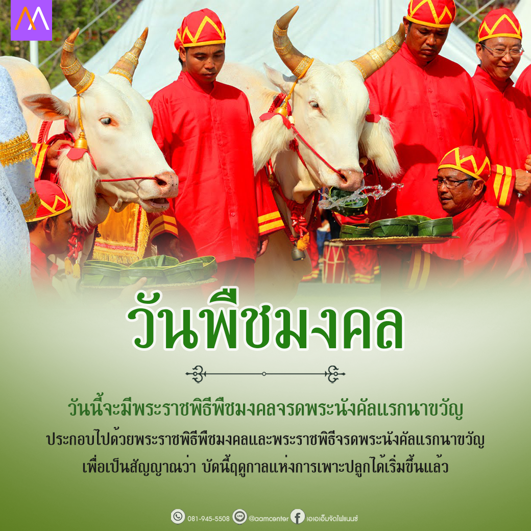 วันอังคารที่ 4 พฤษภาคม 2564 : Aam