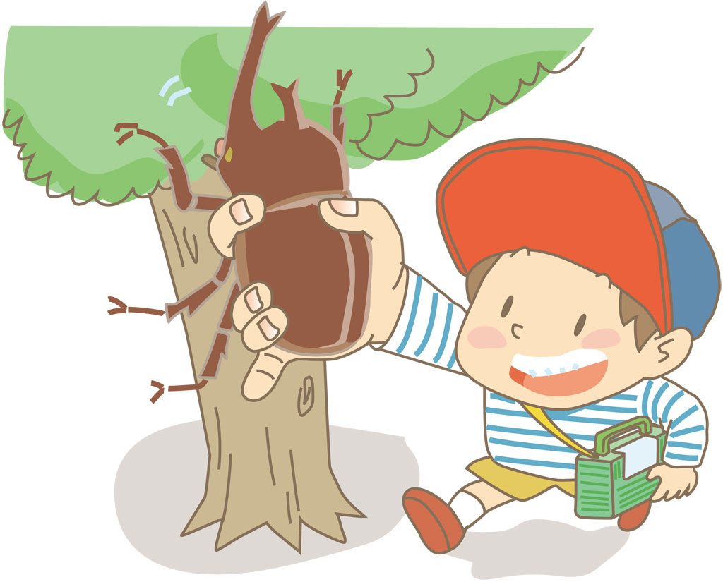 無料イラスト画像 75 昆虫 採集 虫 取り イラスト