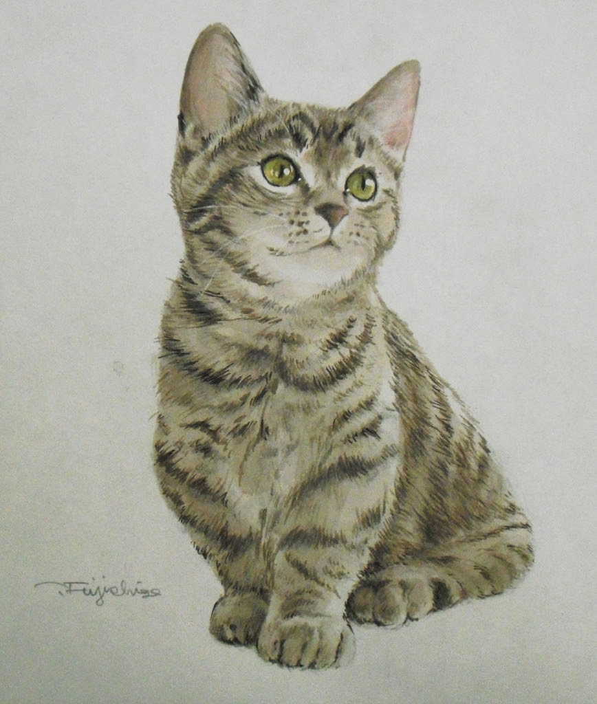無料ダウンロード 猫 リアル イラスト 猫 イラスト リアル フリー Jpbloggbrsongo