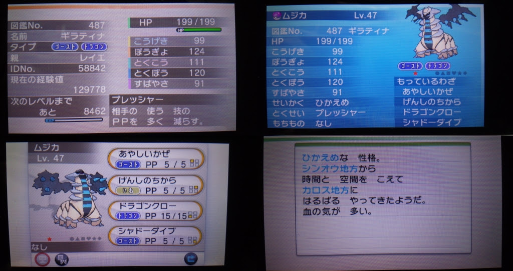 ギラティナ 育成論 Oras