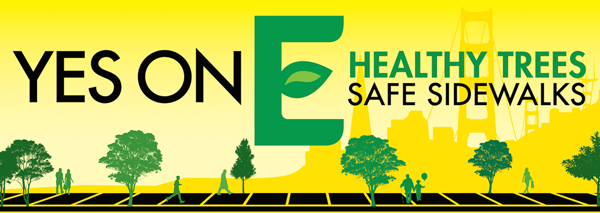 Coalition for Healthy Trees and Safe
Sidewalks