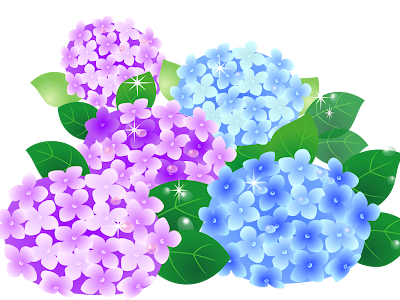 [最も人気のある！] あじさい イラスト かわいい 340967-あじさい イラスト 可愛い
