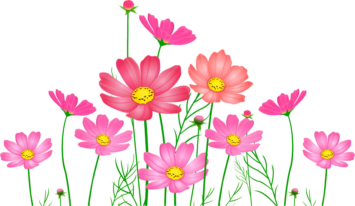 美しい花の画像 無料印刷可能9月の花 イラスト 無料