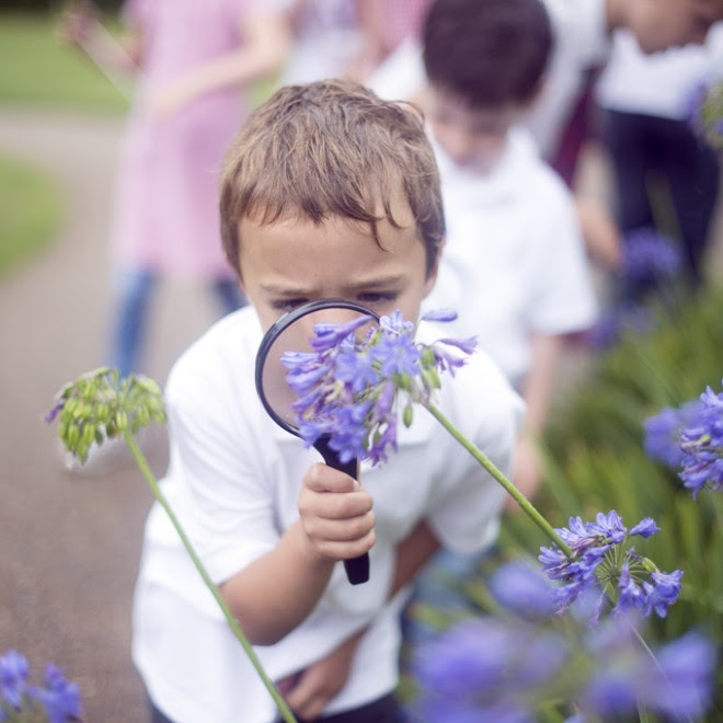 A child with a magnifying glass at Kew Gardens