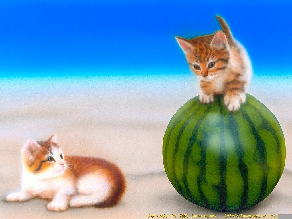 Jongeres 50 夏 壁紙 かわいい