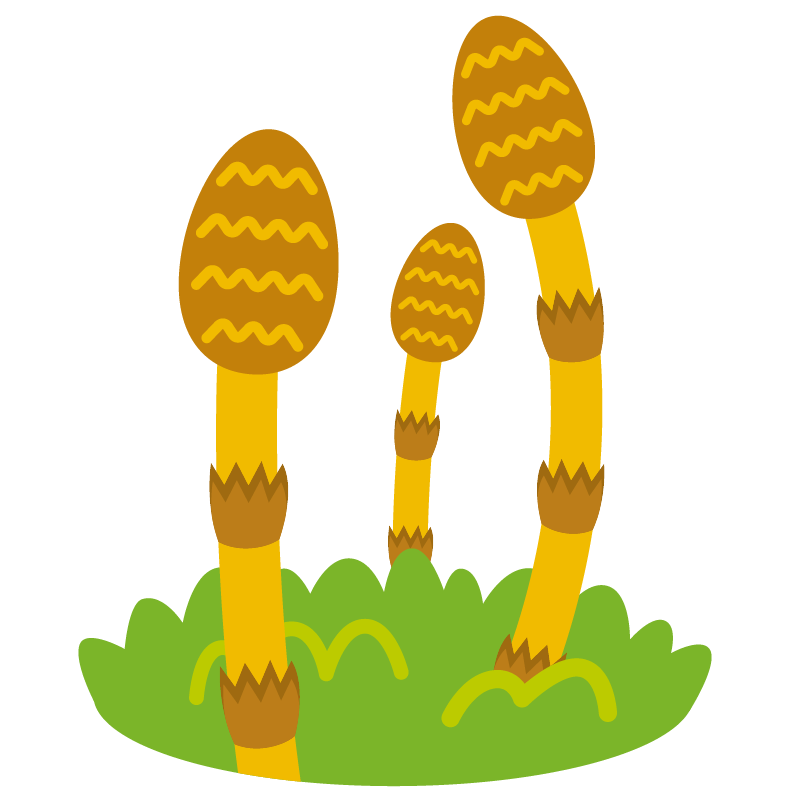 最高つくし イラスト 無料 花の画像