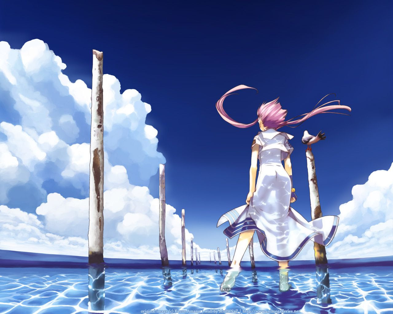 ほとんどのダウンロード Aria 壁紙公式 Hdの壁紙 無料 Itukabegami