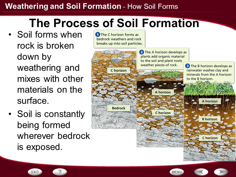 68 TUTORIAL : HOW PROCESS OF SOIL FORMATION PDF VIDEO DOC ...