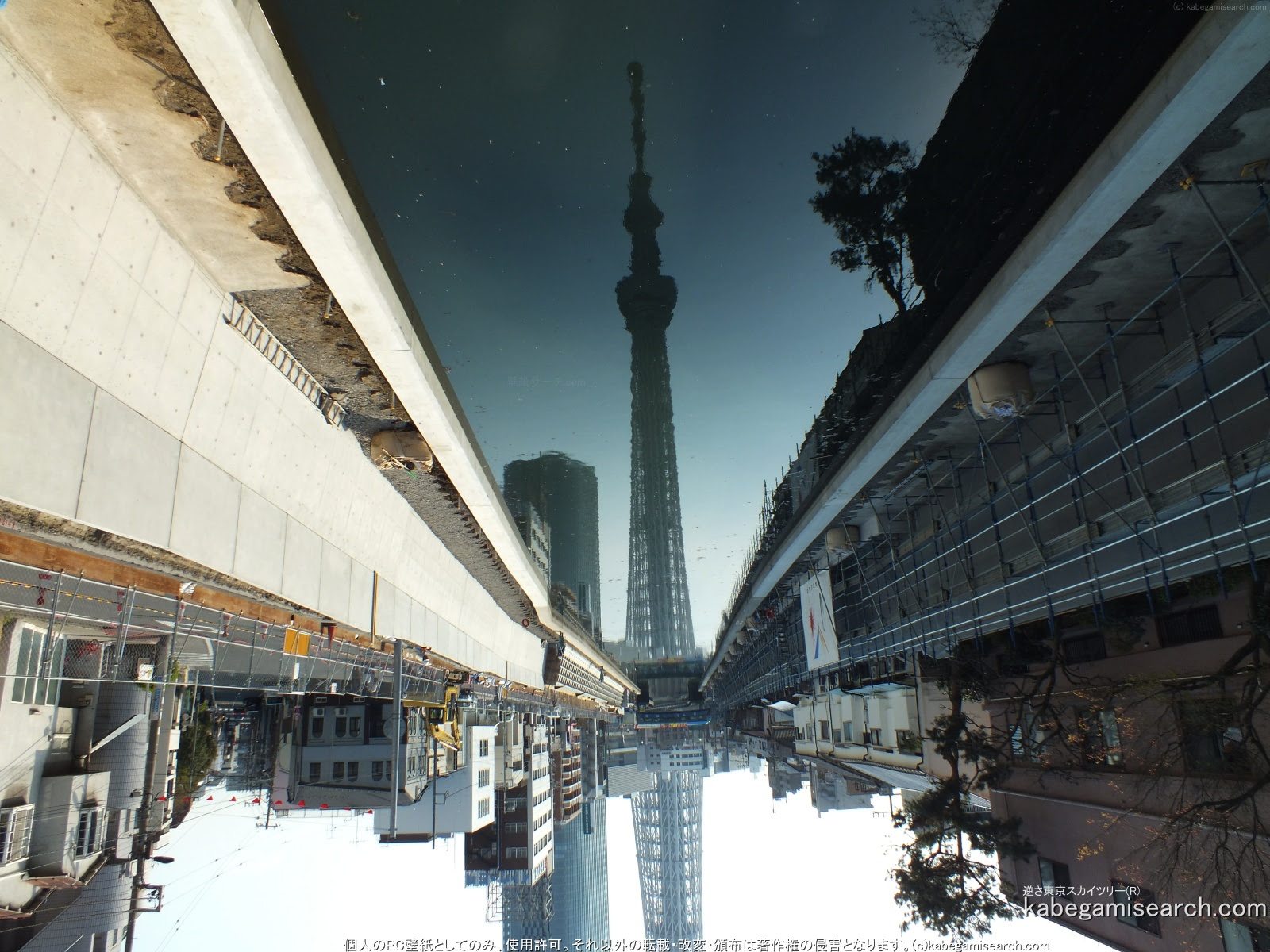 すべての花の画像 これまでで最高のスカイツリー 壁紙 高画質