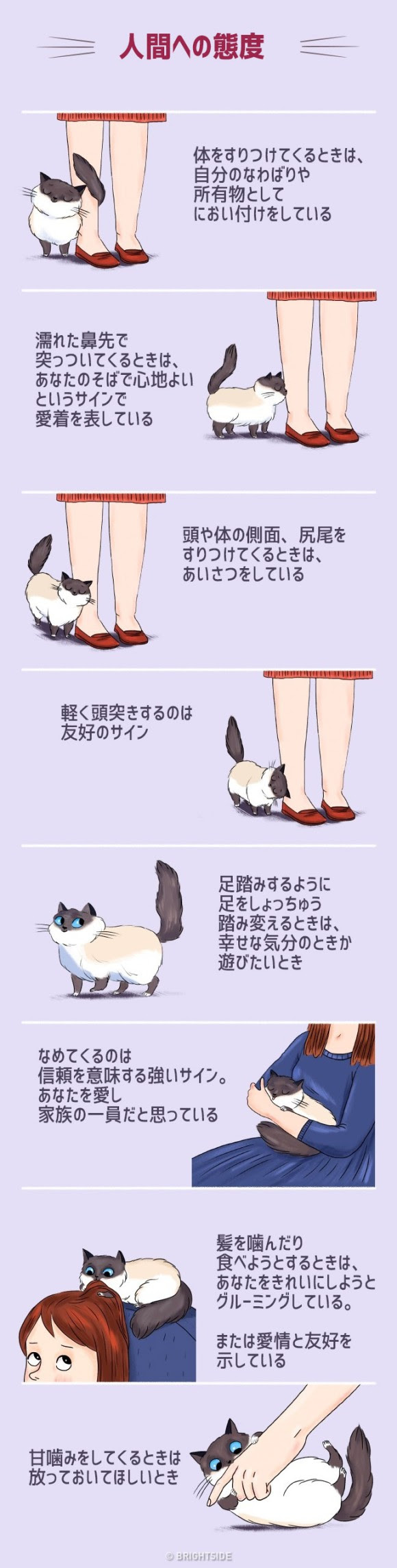 75 猫 尻尾 イラスト ただのディズニー画像