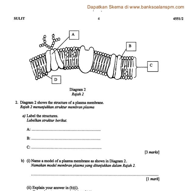 Soalan Esei Biologi Tingkatan 4 Bab 2 - Modif 2