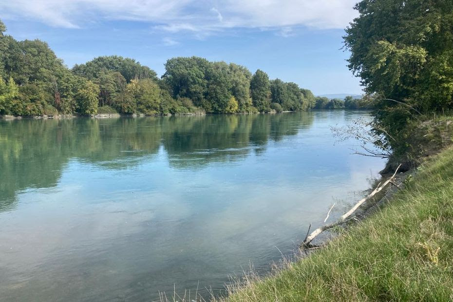 Un projet d'un nouveau barrage sur le Rhône rencontre une forte opposition